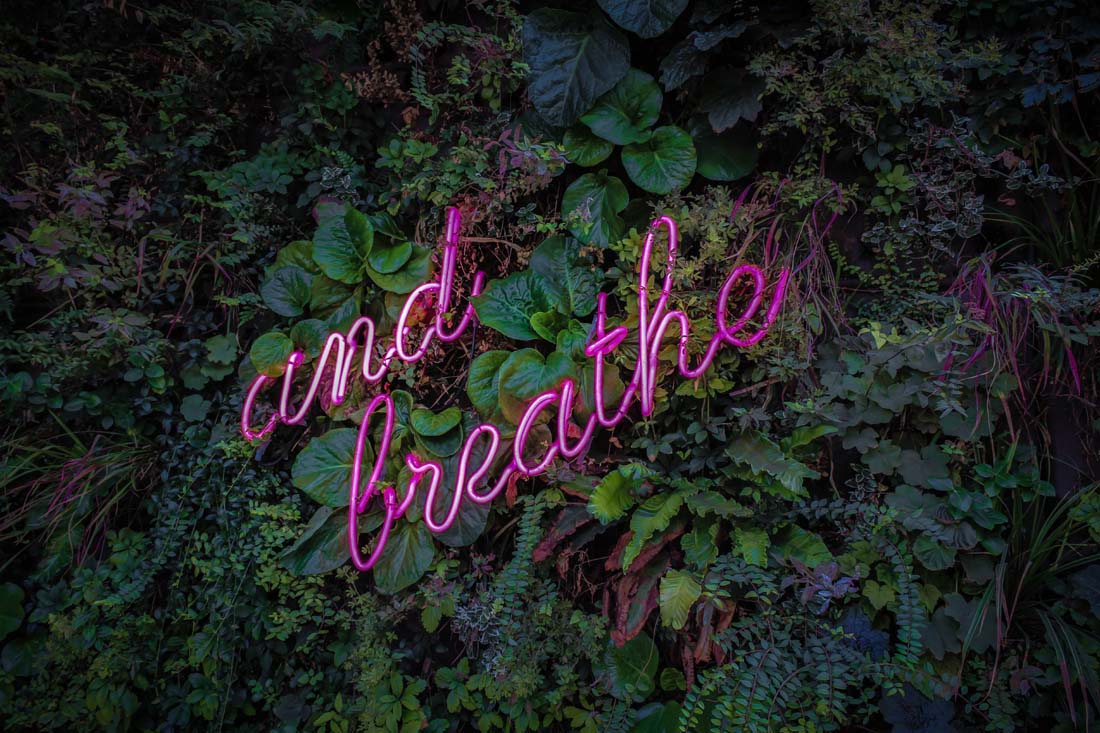 Blog 1100x733 Repayment Deferral