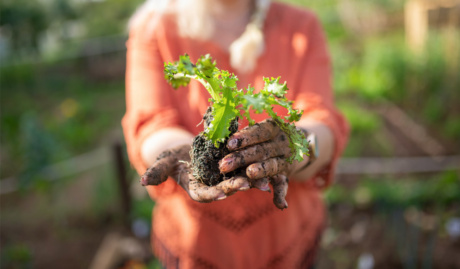 Blog 1100x733 Contaminated Soil